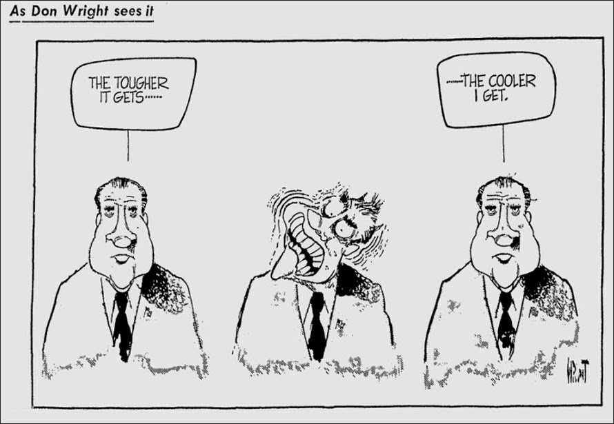 Watergate Nixon Cartoon